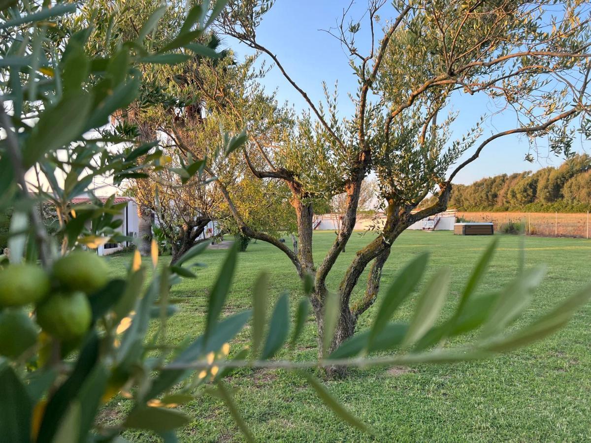 Podere Cala Viola Porto Conte Exterior foto