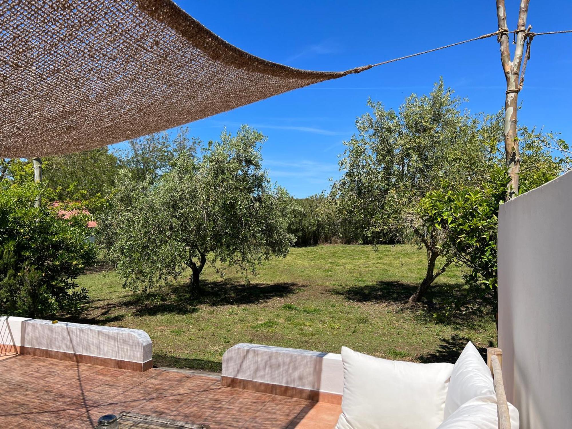 Podere Cala Viola Porto Conte Exterior foto