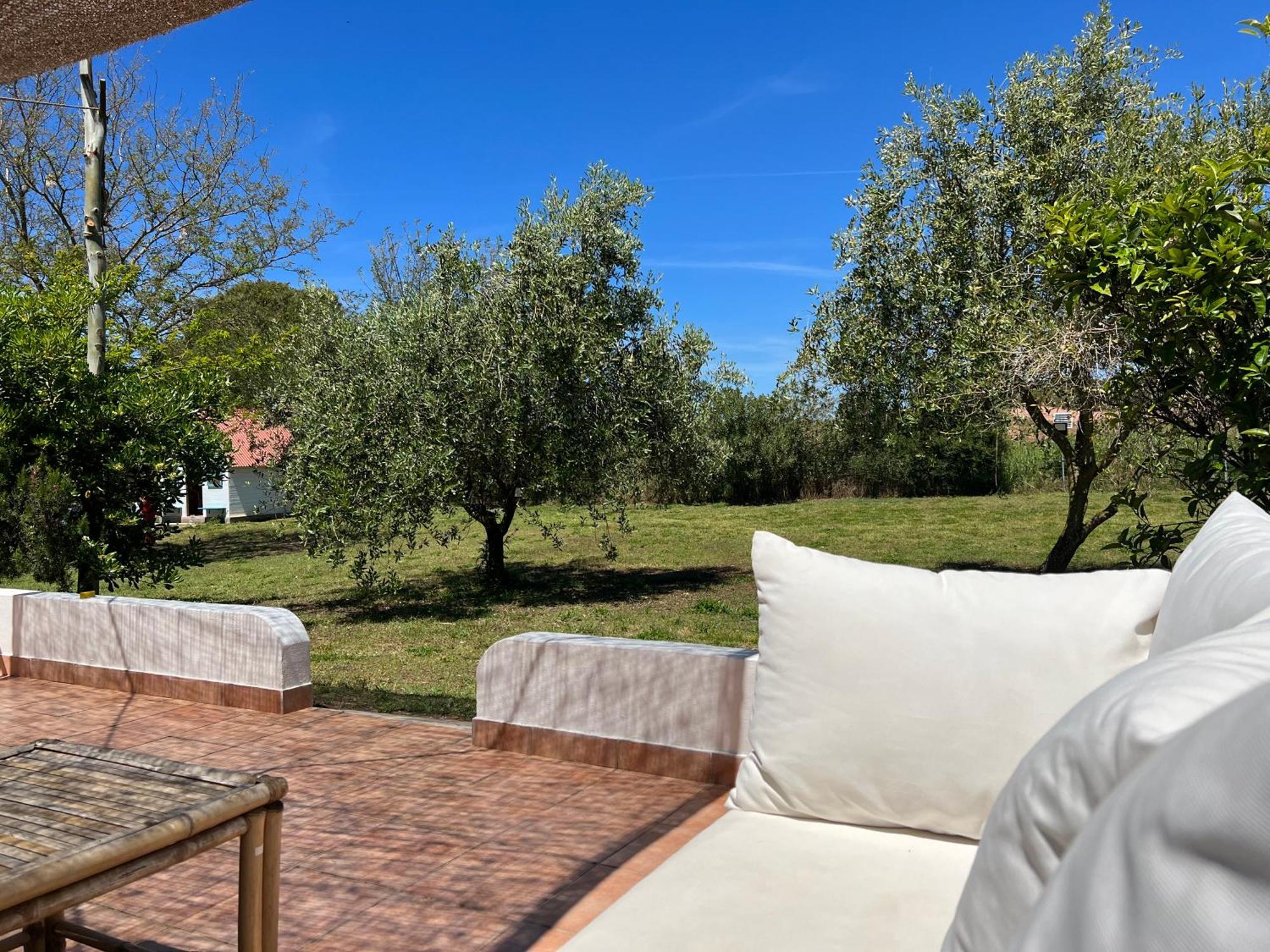 Podere Cala Viola Porto Conte Exterior foto